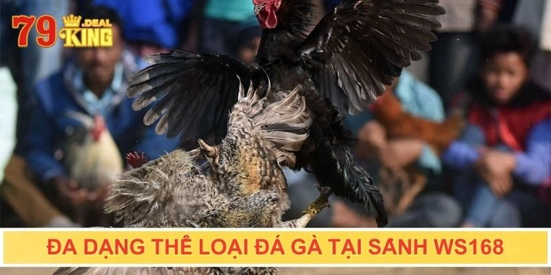 Đa dạng thể loại đá gà tại sảnh WS168