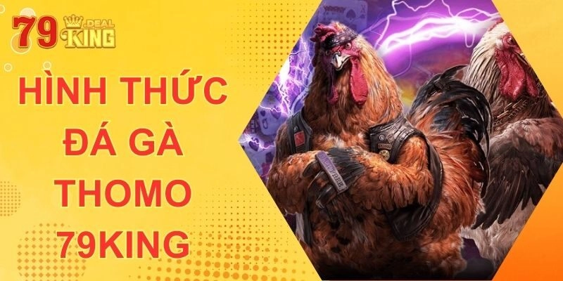 Đá Gà Thomo 79KING – Hình Thức Chọi Kê Trực Tuyến Hàng Đầu