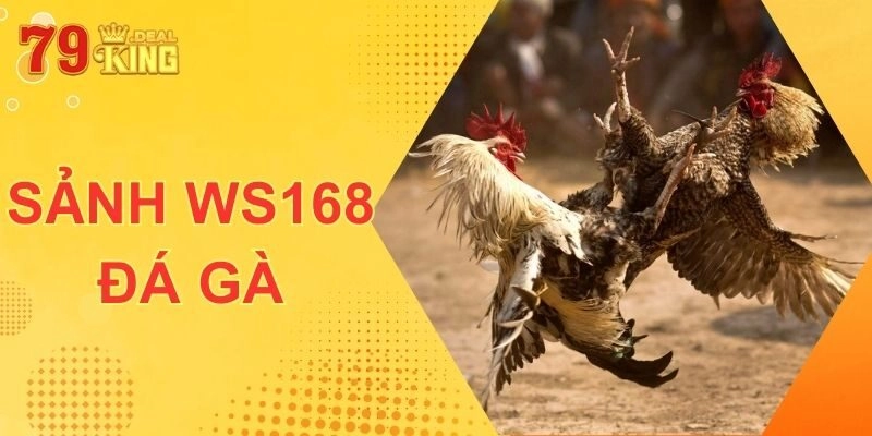 WS168 Đá Gà – Sảnh Cược 79KING Đình Đám Khắp Châu Á